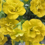 Следующее изображение товара