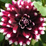 Следующее изображение товара