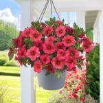 Следующее изображение товара