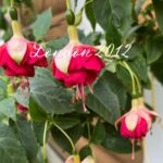 Следующее изображение товара