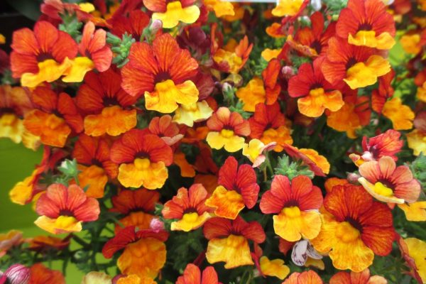 65152cbee71710c4c65b2d0cdfe29f52